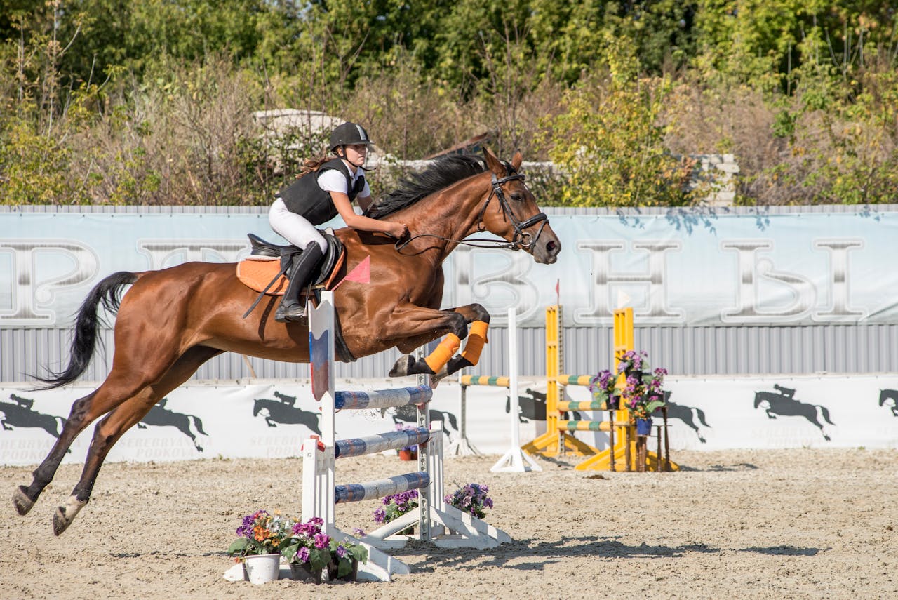 A woman on horseback jumps over an obstacle in an equestrian event.