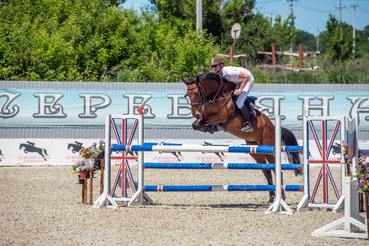 A thrilling equestrian event showcasing a rider and horse executing a jump over obstacles.