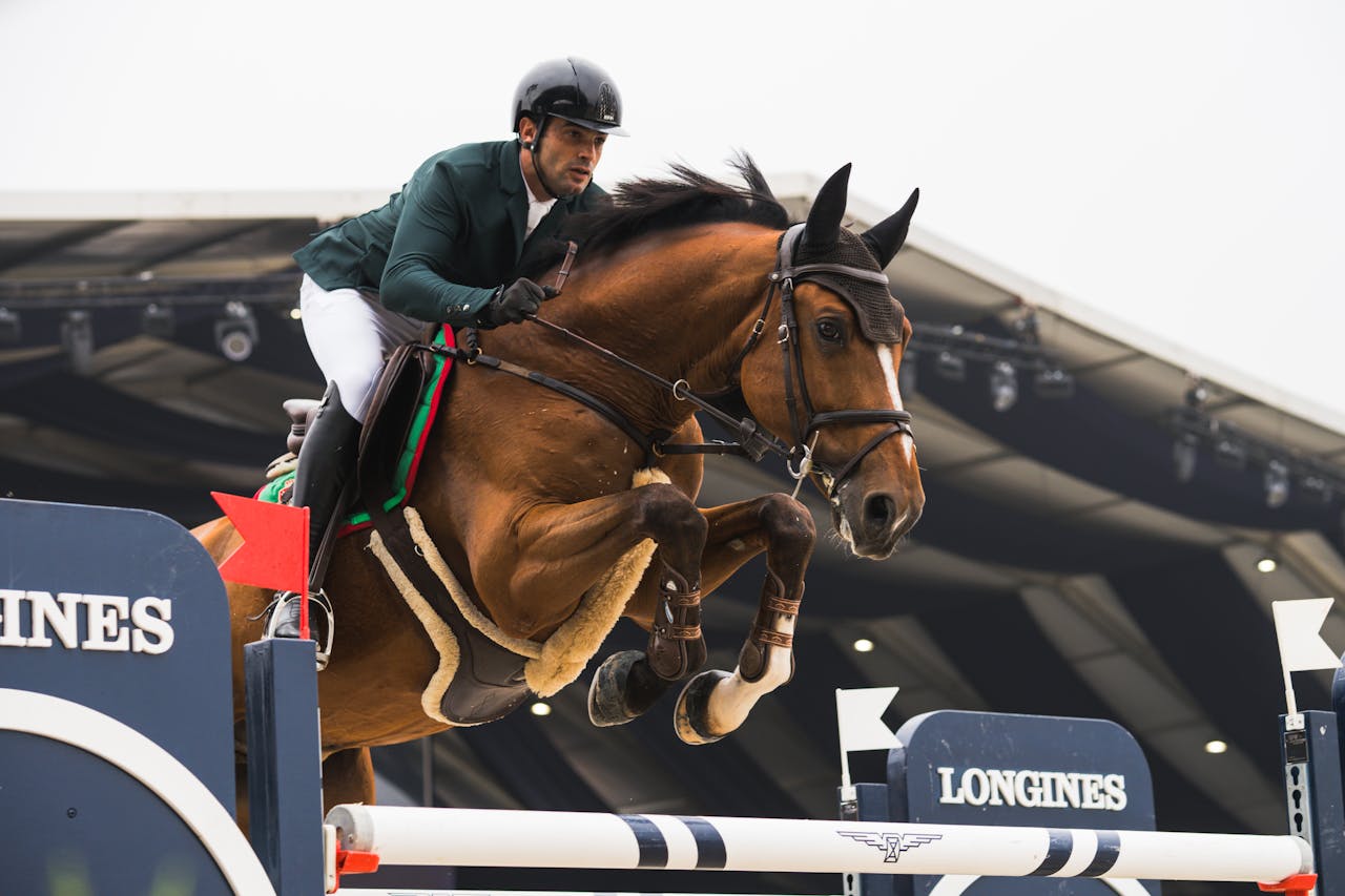 Dynamic shot of an equestrian rider and horse jumping a hurdle in a sports arena.
